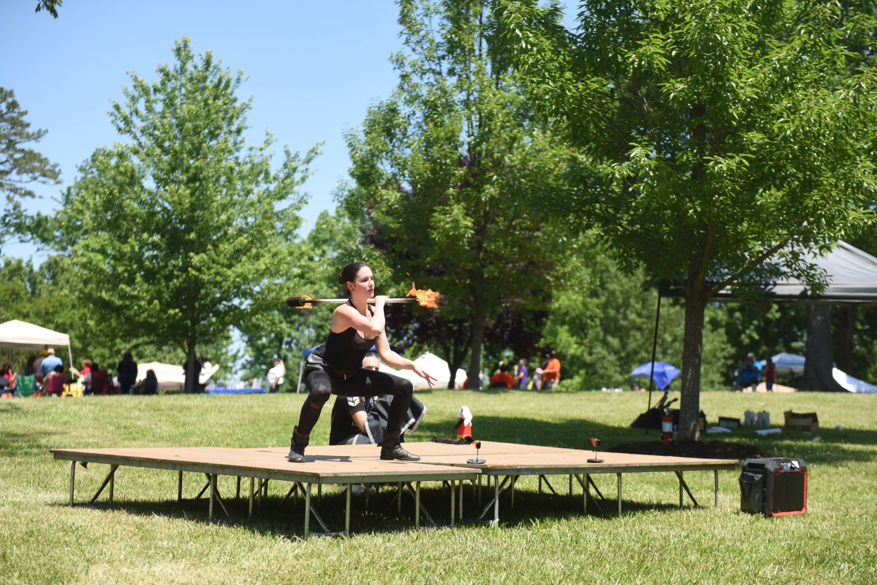 Festival in the Park